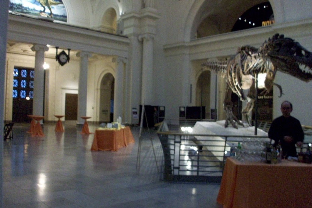 museum 005