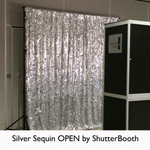 silver-sequin2