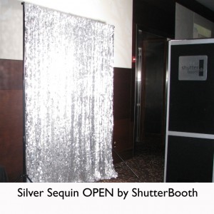 silver-sequin3