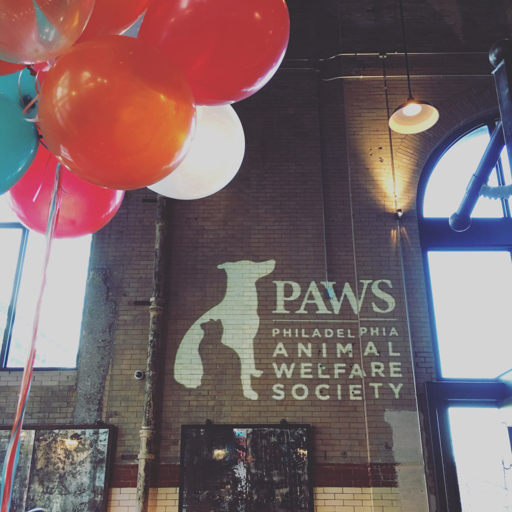 ShutterBooth Philadelphia PAWS is 10!