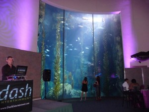 LB Aquarium