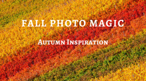 Autumn Inspiration with a Fall Photobooth so many ways to celebrate your success